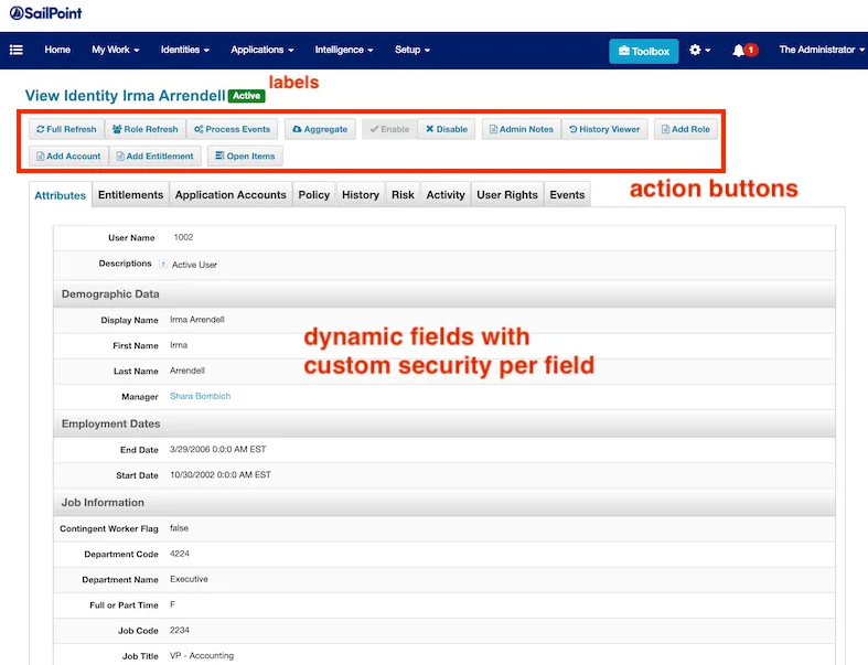 SailPoint IdentityIQ UI Plugin